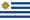Flag from Uruguay
