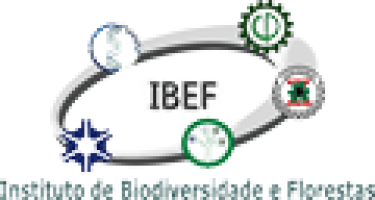 Logo de Instituto de Biodiversidade e Florestas
