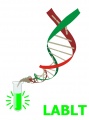 Logo de Bioluminescence and Biophotonics research group
