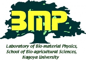 Logo de laboratório de Física da madeira